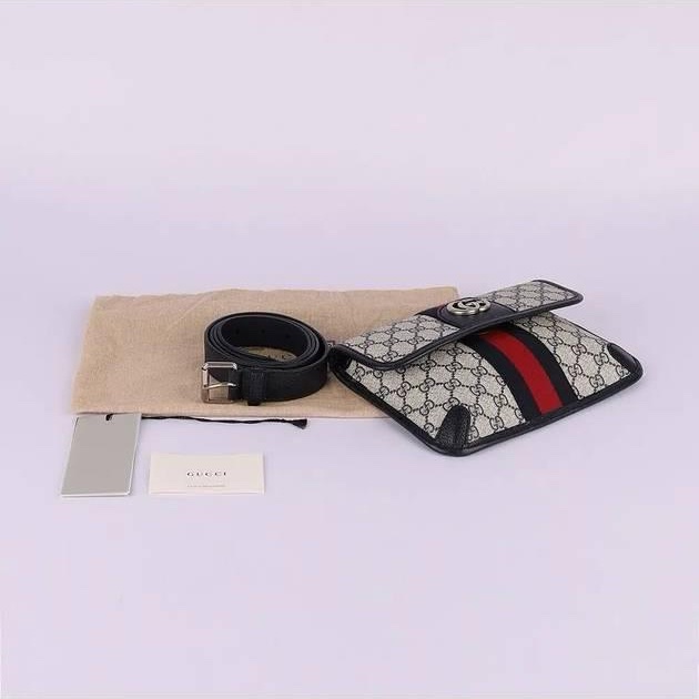 Gucci Ophidia belt bag-4
