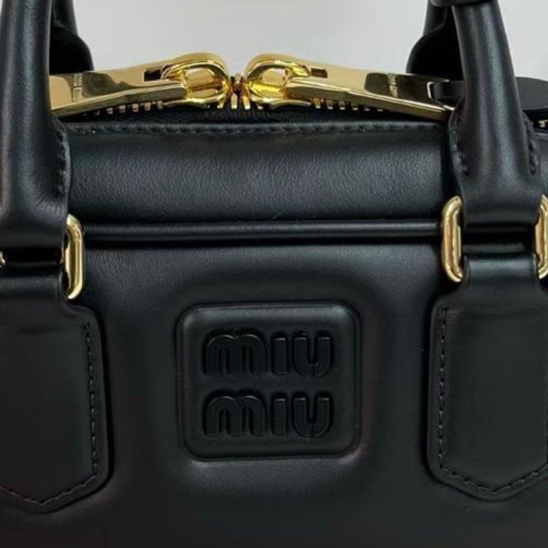 Miu Miu arcadie bag-4