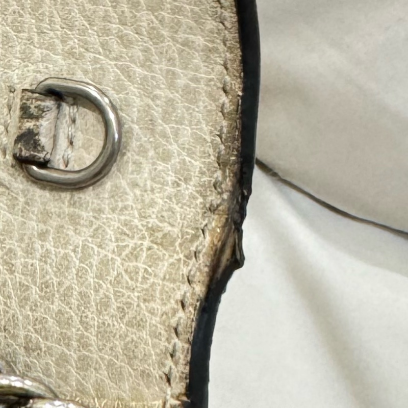 Gucci Dionysus 酒神 woc-26