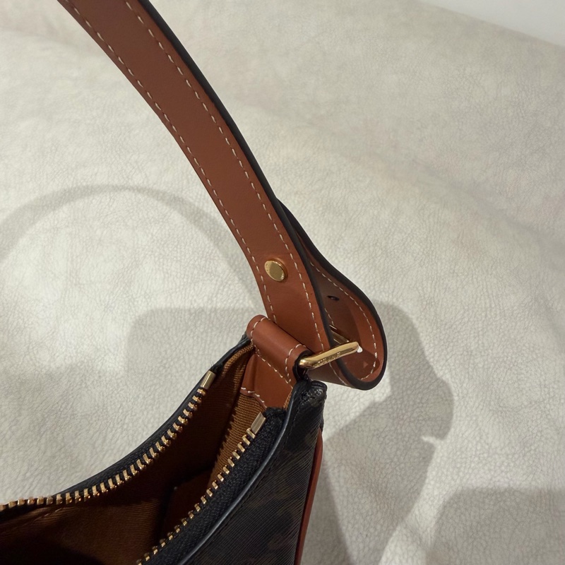 Celine AVA 經典老花款 非mini 日本東京🇯🇵購入-7