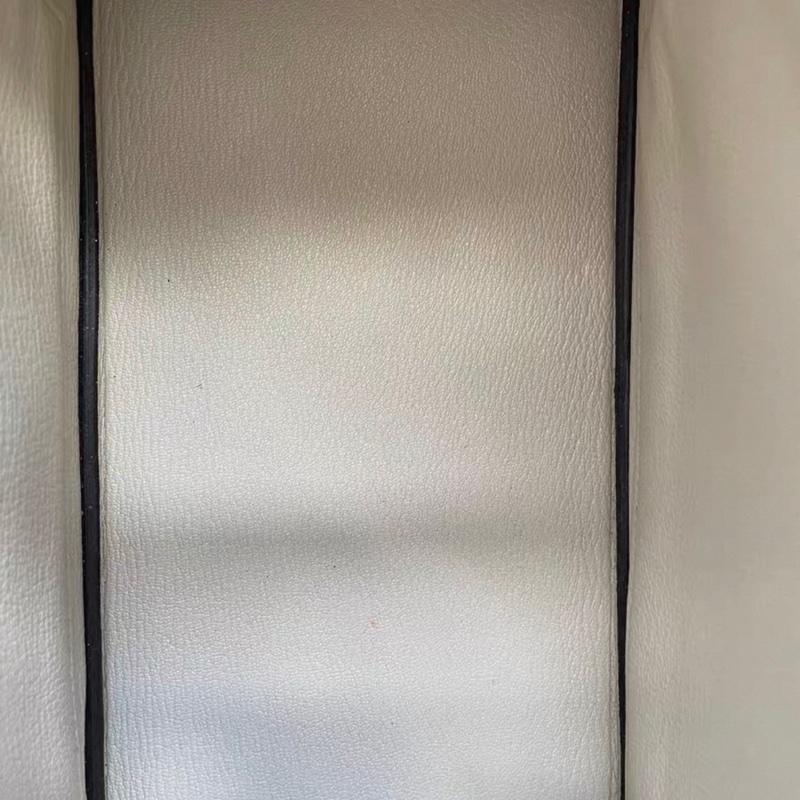 Hermes愛馬仕  Birkin25 原色蜥蜴皮銀扣  D刻-4