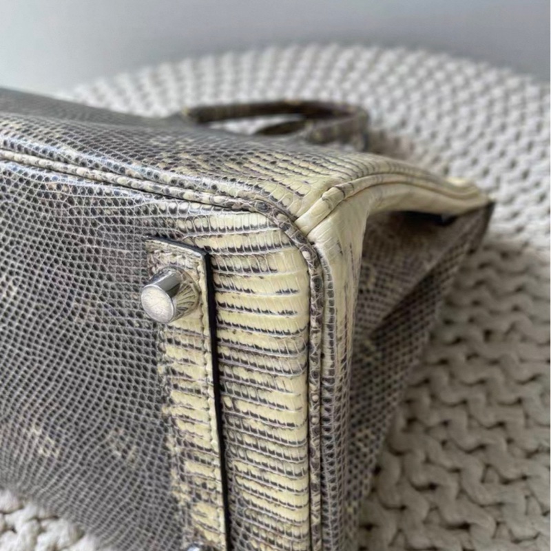 Hermes愛馬仕  Birkin25 原色蜥蜴皮銀扣  D刻-8