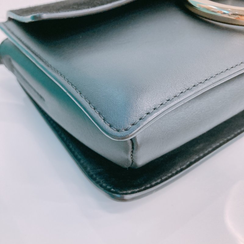 MS0356 Chloe 蔻依 費伊 牛皮 Faye Calfskin and Suede Black x LGHW-5