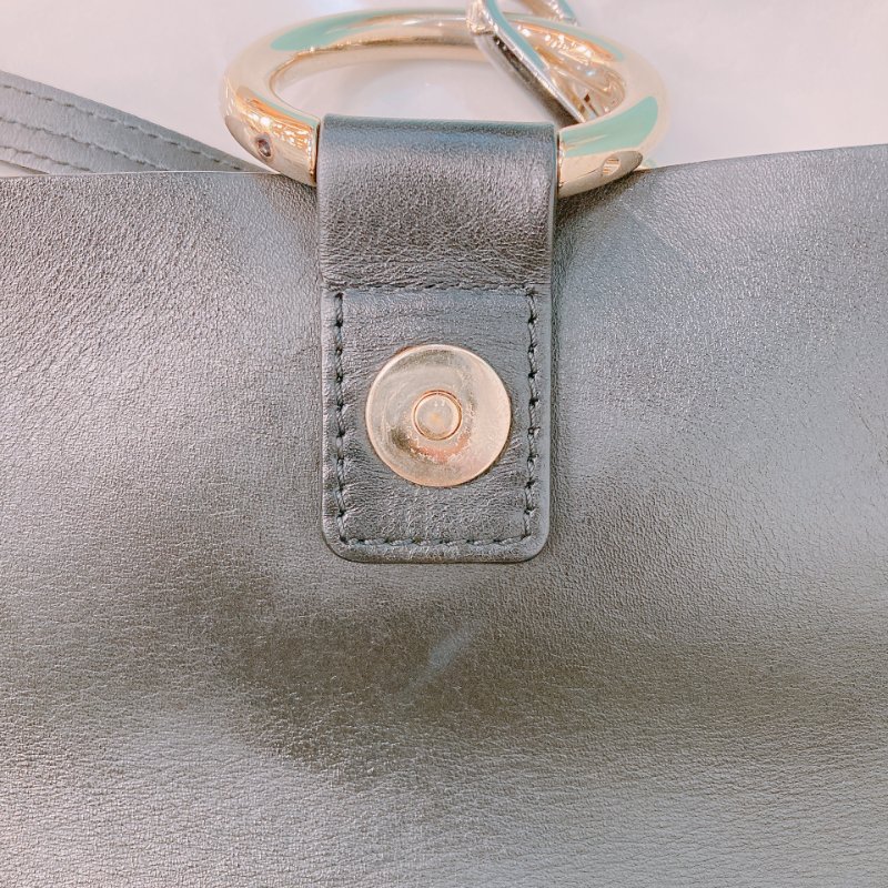 MS0356 Chloe 蔻依 費伊 牛皮 Faye Calfskin and Suede Black x LGHW-11