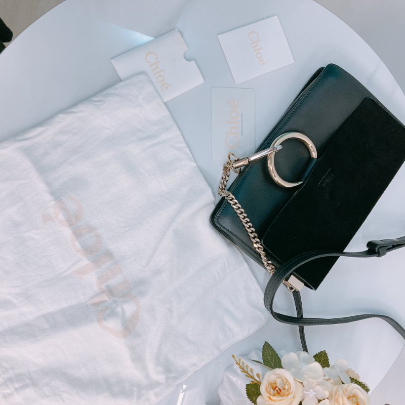 MS0356 Chloe 蔻依 費伊 牛皮 Faye Calfskin and Suede Black x LGHW-19