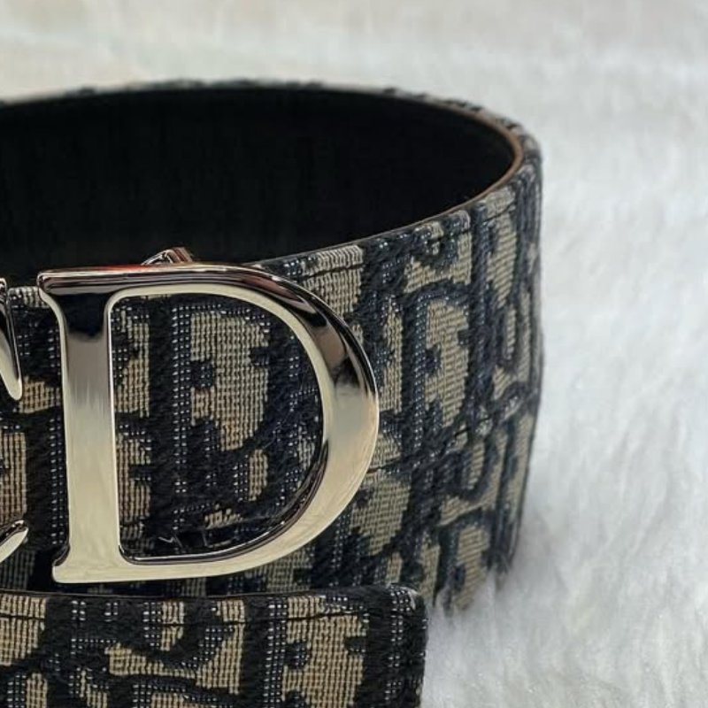 🔥 雙11全面開搶・全館折扣限時開啟!【DIOR 迪奧】經典CD LOGO Oblique緹花帆布牛皮皮帶 銀釦(下單前須先私訊)-2