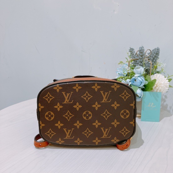TK1854 LOUIS VUITTON 路易威登老花背包DUPHINE BACKPACK MONOGRAM BROWN X GHW-4