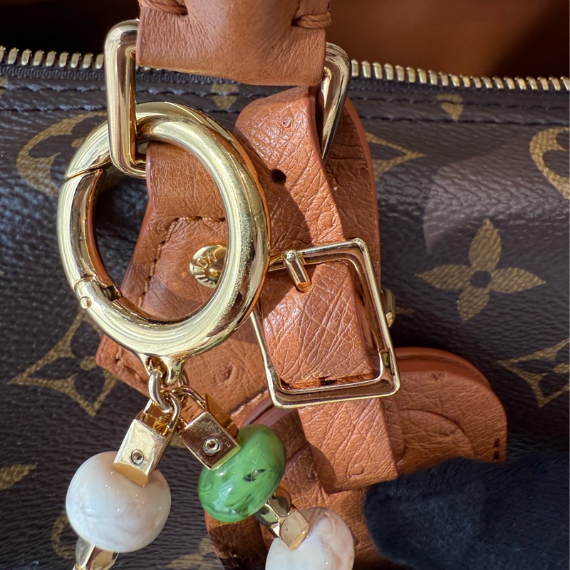 LV 老花鴕鳥皮Speedy Soft 30 Boho-4