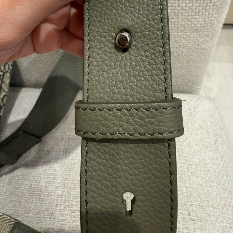 Dior Saddle 皮革馬鞍設計綠色老花側背包/郵差包-15