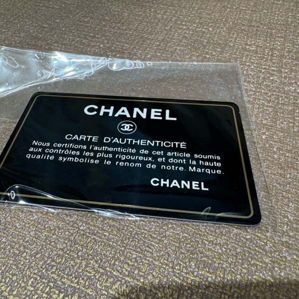 CHANEL 老香 沙灘包-14