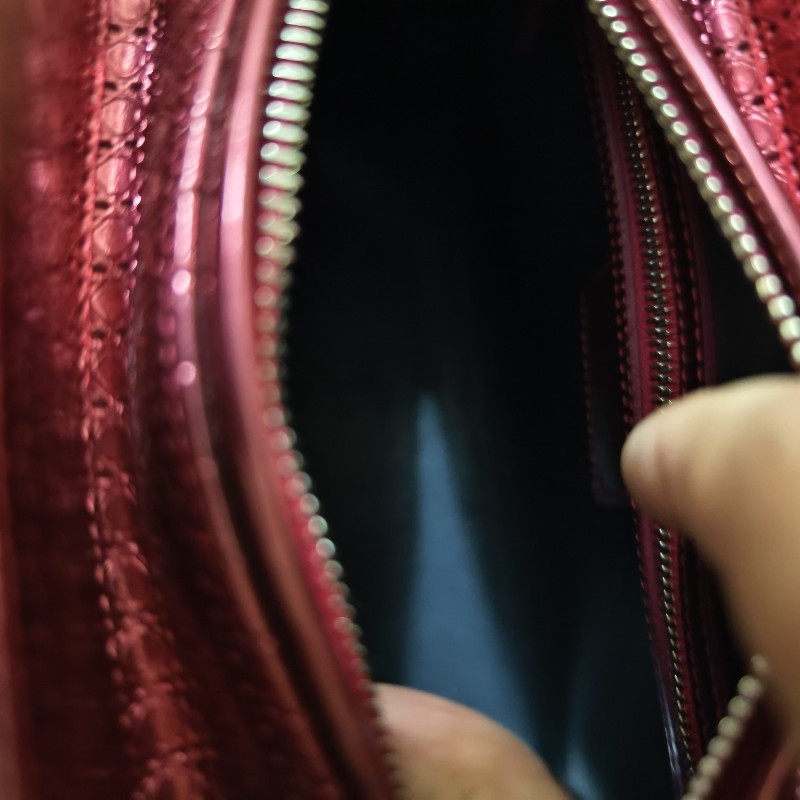 Dior漆皮黛妃包-5