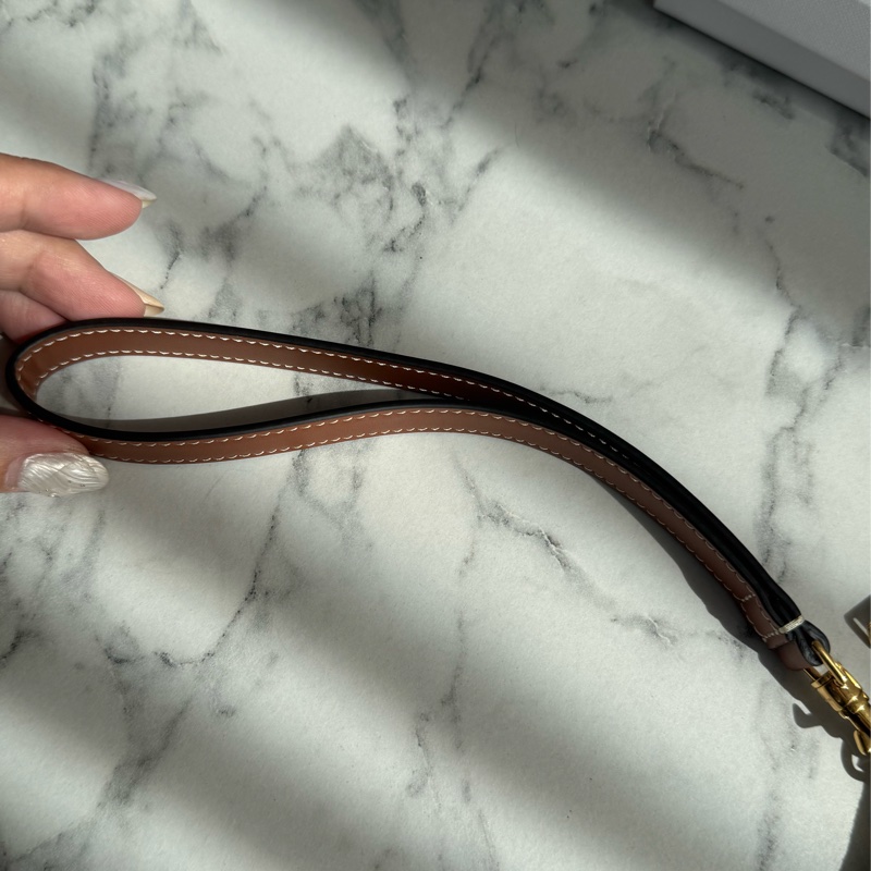 Celine白/咖老花手拿包-18