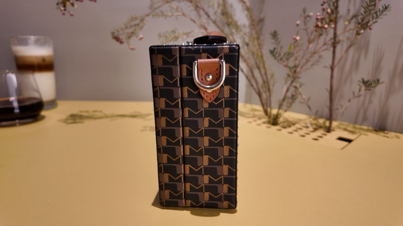 Moynat Little Suitcase Tolie 1920 碳黑與古銅箱包-9