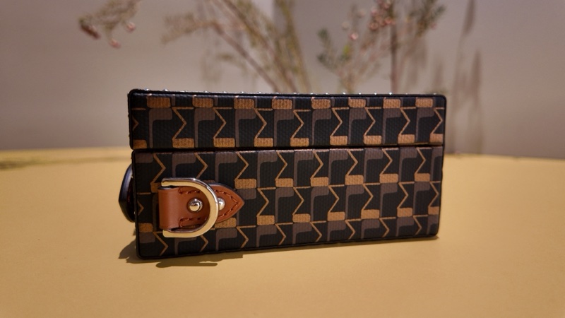 Moynat Little Suitcase Tolie 1920 碳黑與古銅箱包-12