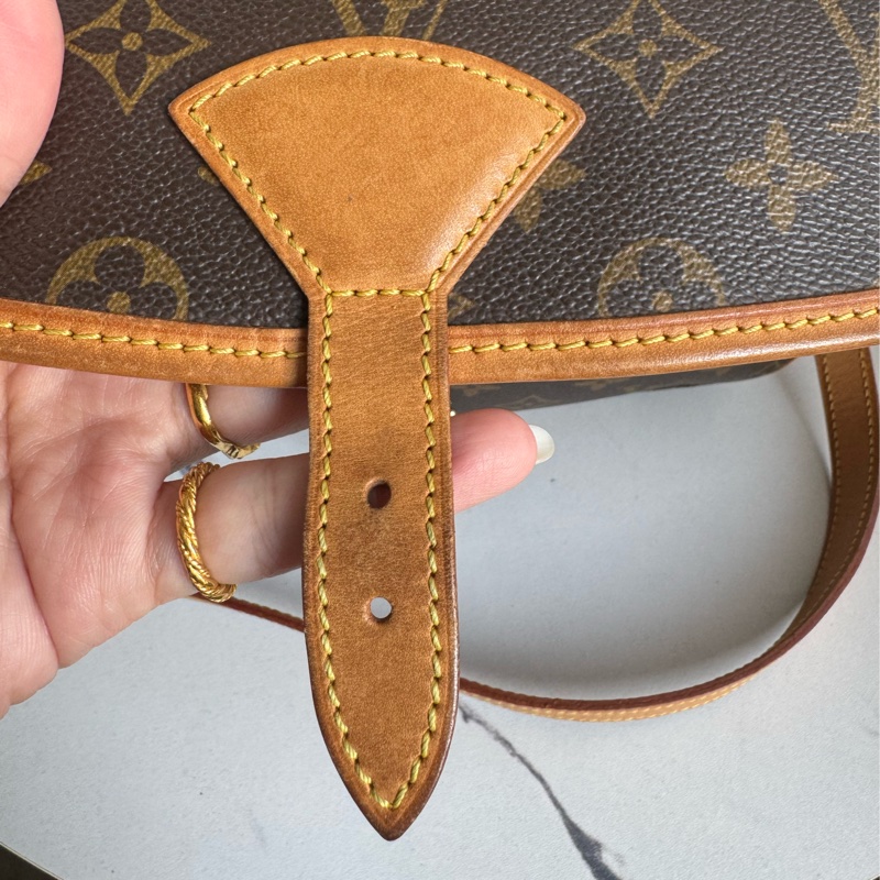 LV花紋法棍包-15