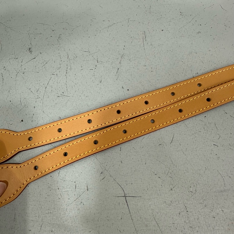 LV m46203 原花金釦carryall pm 肩背包-45