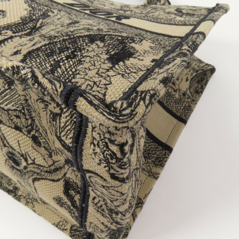 Dior 帆布Book Tote Medium手挽袋-12