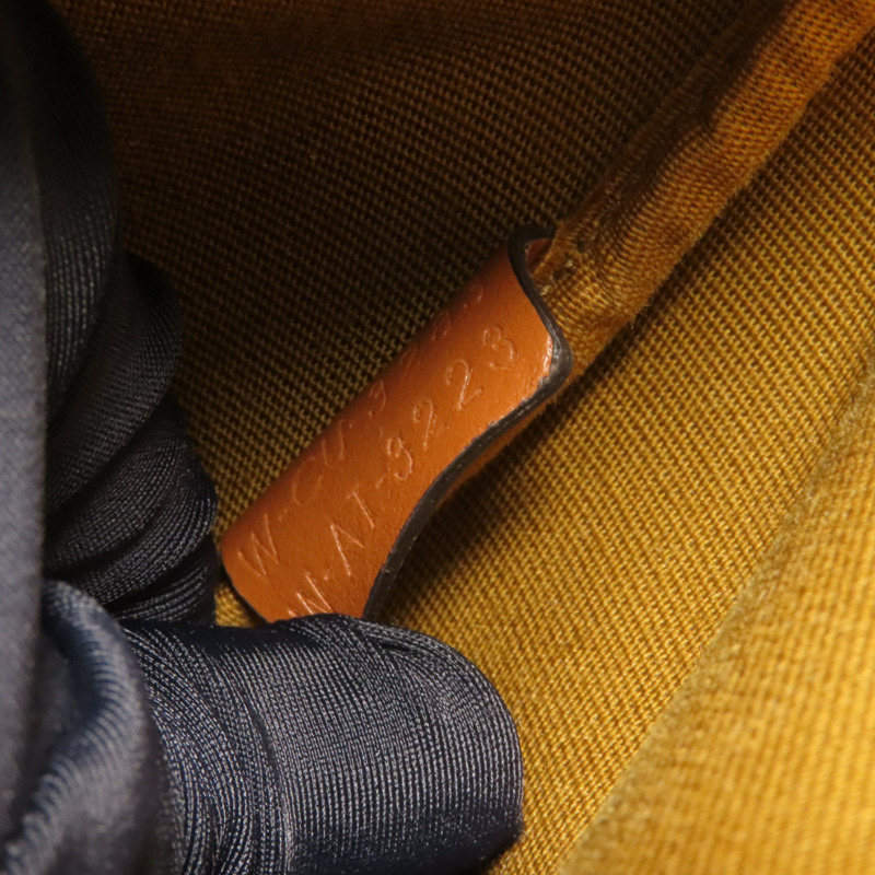 CELINE 塗層帆布Triomphe Bucket金扣肩背袋-10