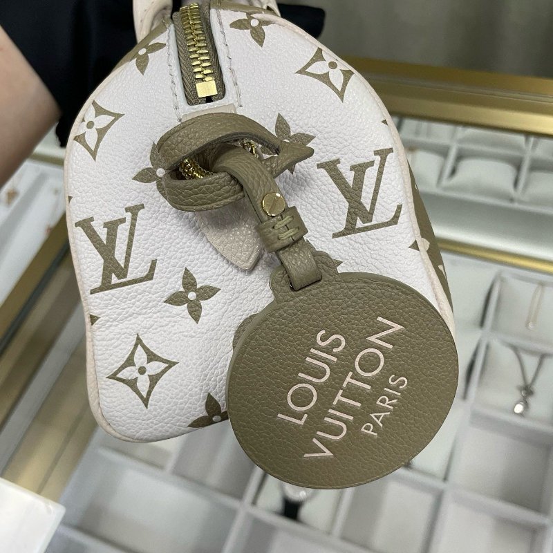 LV speedy 20 限量版色-4