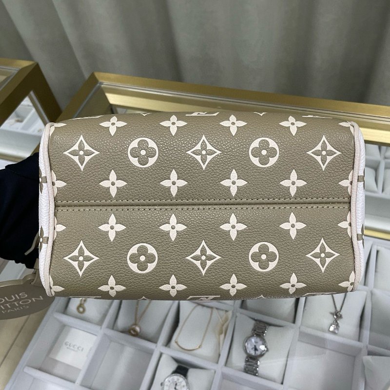 LV speedy 20 限量版色-8