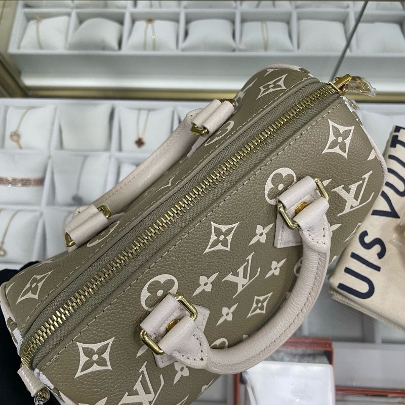 LV speedy 20 限量版色-9