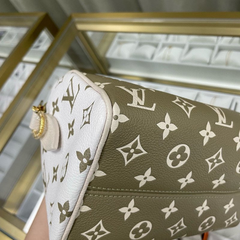 LV speedy 20 限量版色-11
