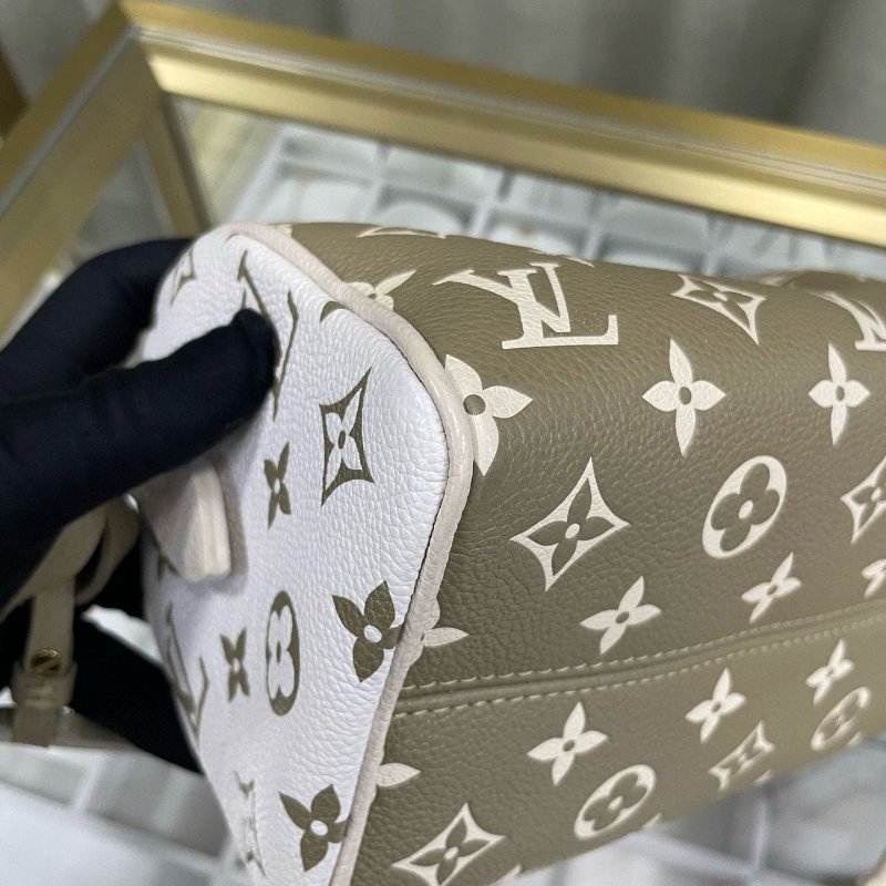LV speedy 20 限量版色-12