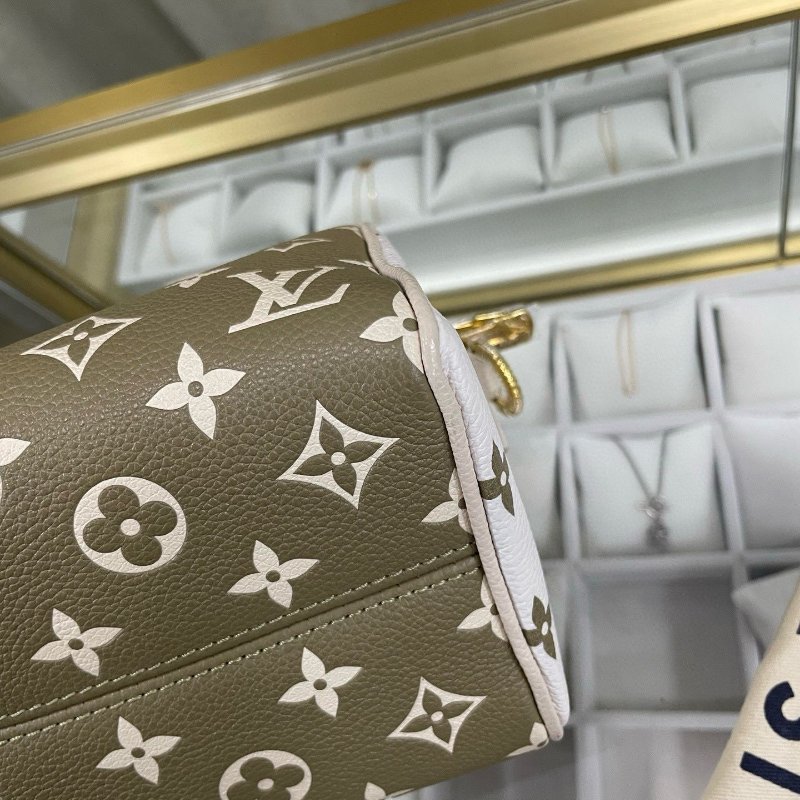 LV speedy 20 限量版色-13