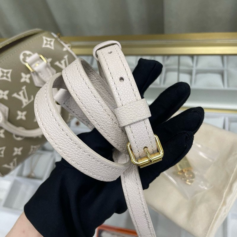 LV speedy 20 限量版色-17