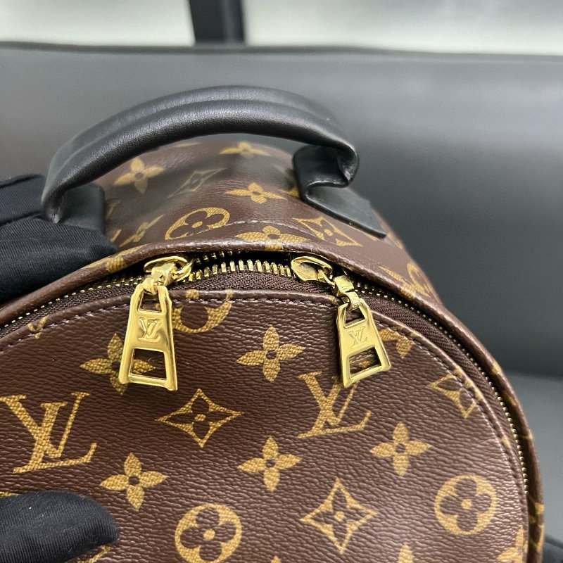 LV small backpack-5