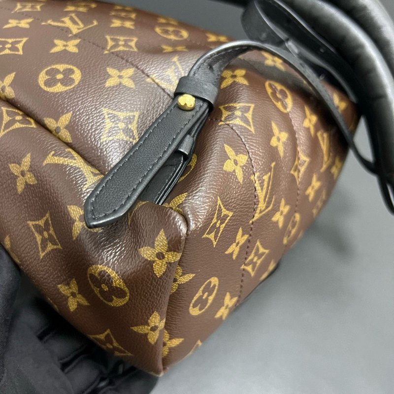 LV small backpack-9