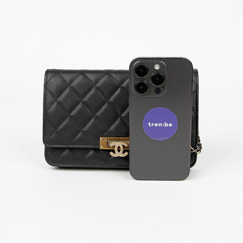 CHANEL Caviar Skin CC 標誌鏈條單肩斜背包 A80766-6