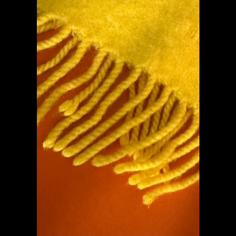 愛馬仕喀什米爾羊毛檸檬黃流蘇圍巾-4