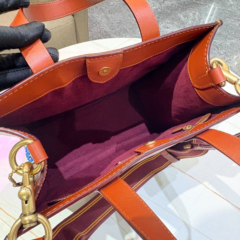 *SHIHNA名牌精品*COACH小恐龍 Rexy 徽章手提肩背包-8