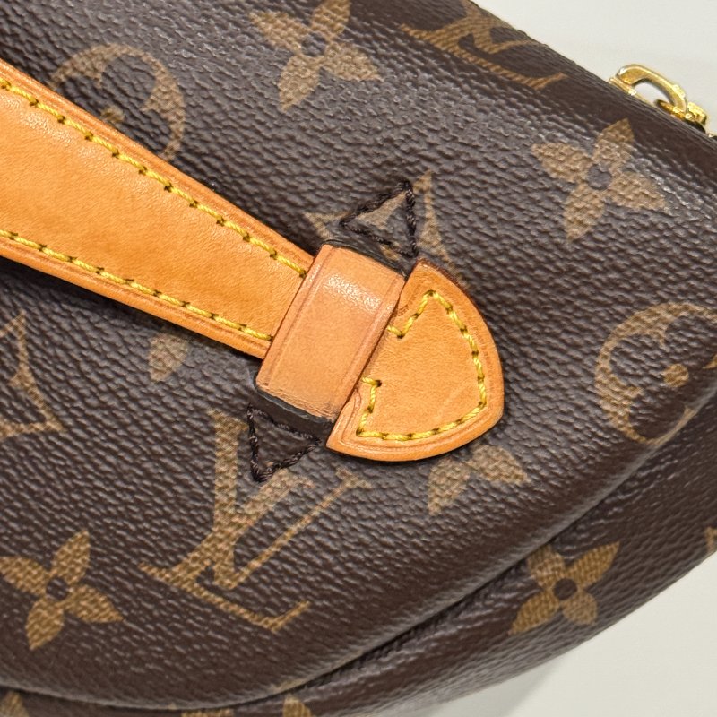 99新🆕 有購證 Louis Vuitton LV 路易威登 老花腰包-10
