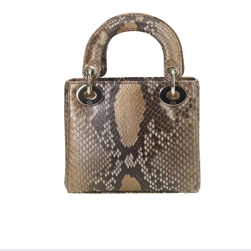 Dior三格蟒蛇皮戴妃包金扣,出門不用撞款,2020年購入-1