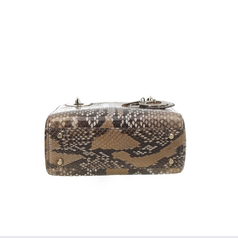 Dior三格蟒蛇皮戴妃包金扣,出門不用撞款,2020年購入-2