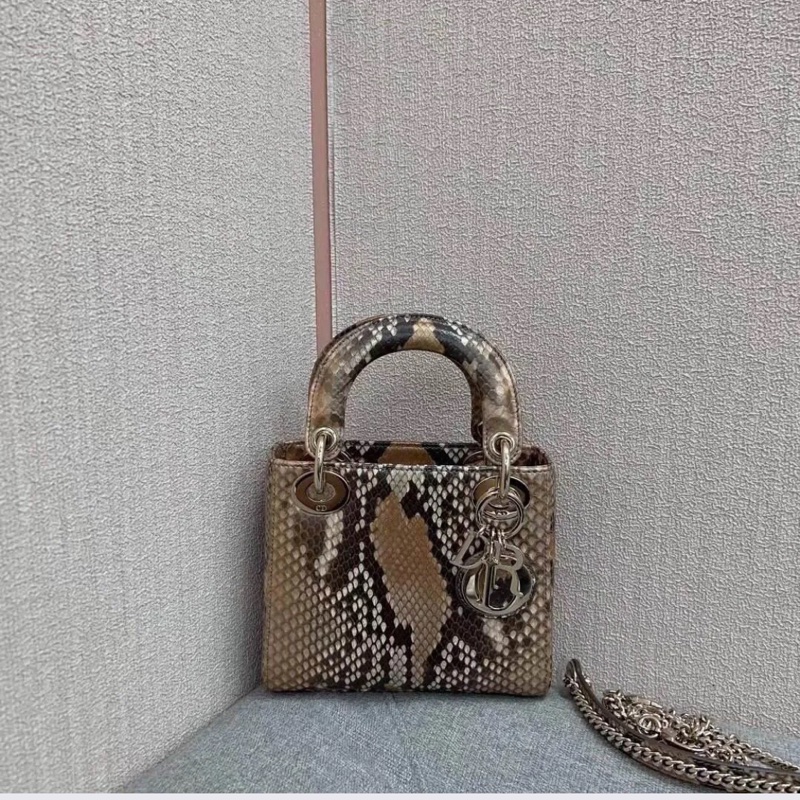 Dior三格蟒蛇皮戴妃包金扣,出門不用撞款,2020年購入-3