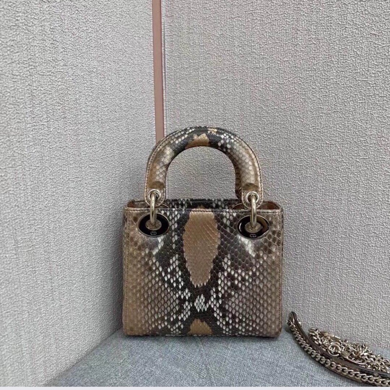 Dior三格蟒蛇皮戴妃包金扣,出門不用撞款,2020年購入-4