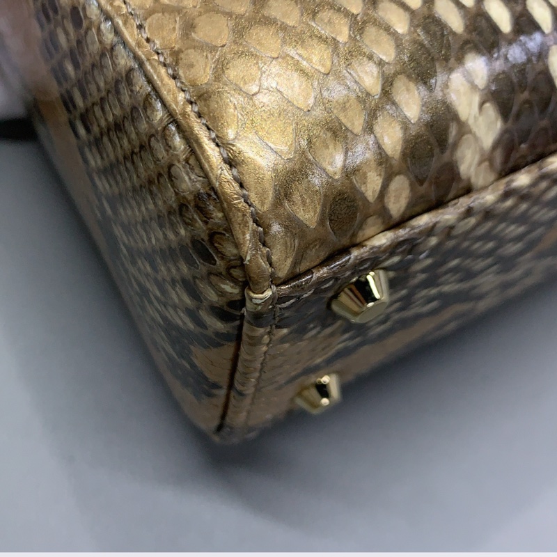 Dior三格蟒蛇皮戴妃包金扣,出門不用撞款,2020年購入-5
