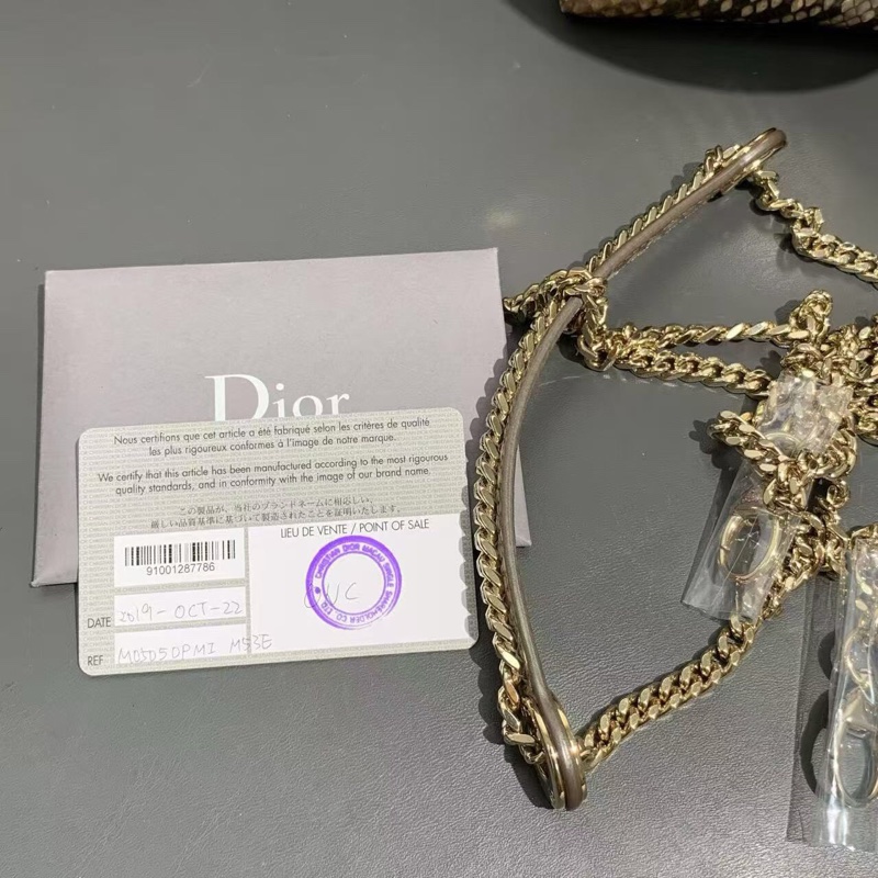 Dior三格蟒蛇皮戴妃包金扣,出門不用撞款,2020年購入-6