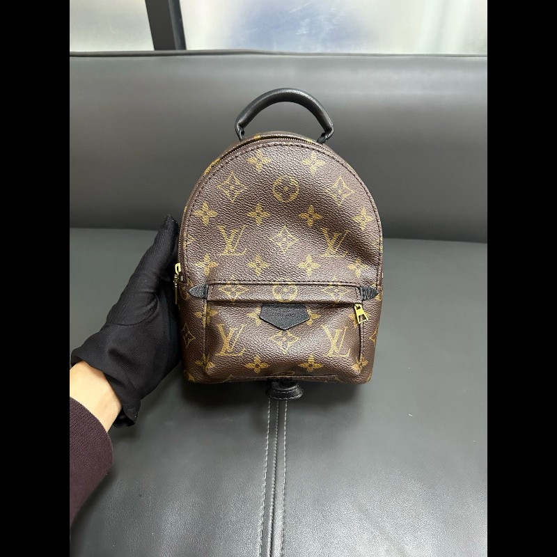LV palm springs mini backpack-1
