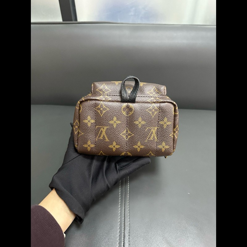 LV palm springs mini backpack-5