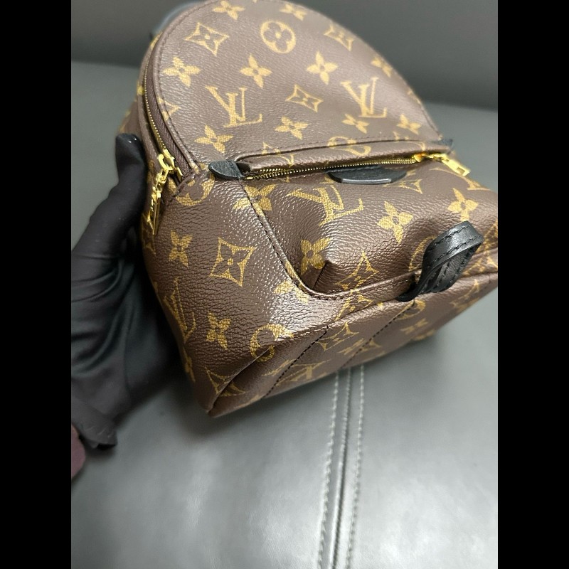 LV palm springs mini backpack-6