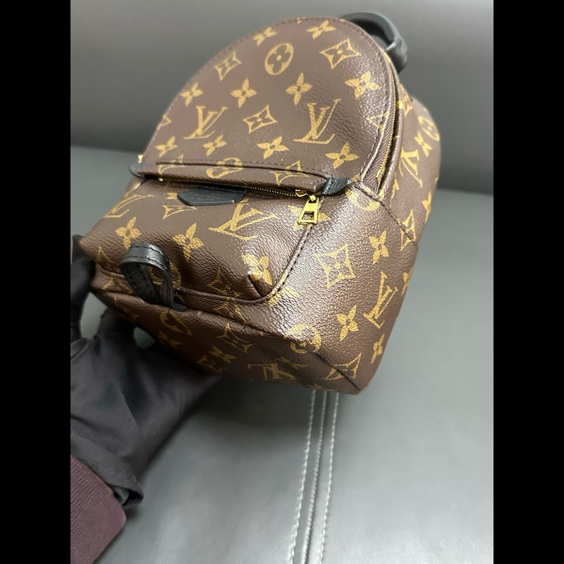 LV palm springs mini backpack-7