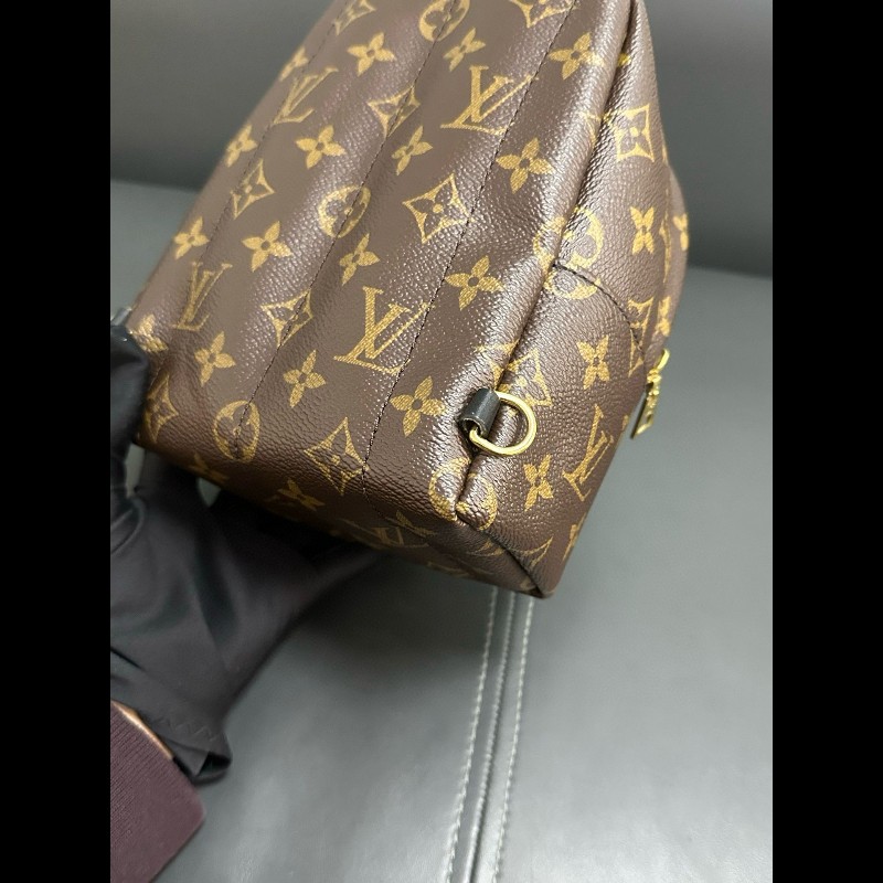 LV palm springs mini backpack-9