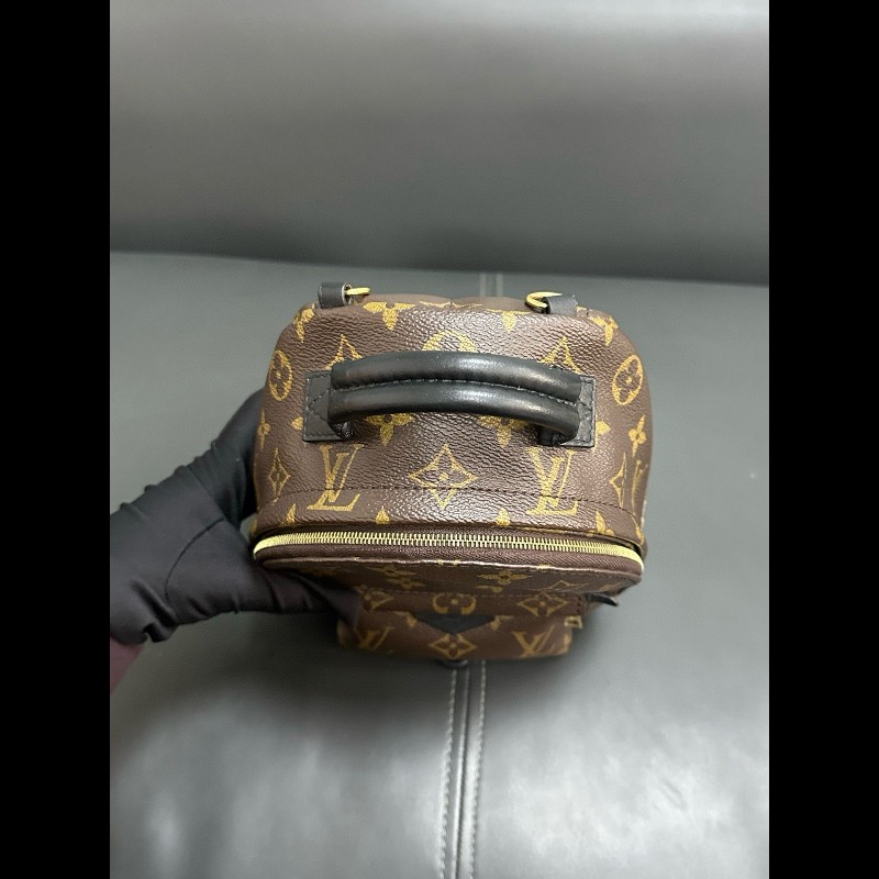 LV palm springs mini backpack-10