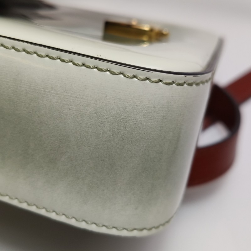 Chloe Chloe C迷你牛皮拼色字母C徽飾斜挎包單肩包-19