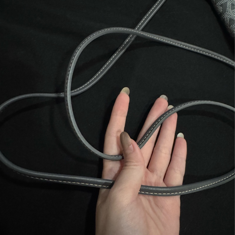 Goyard Plumet信封包-7