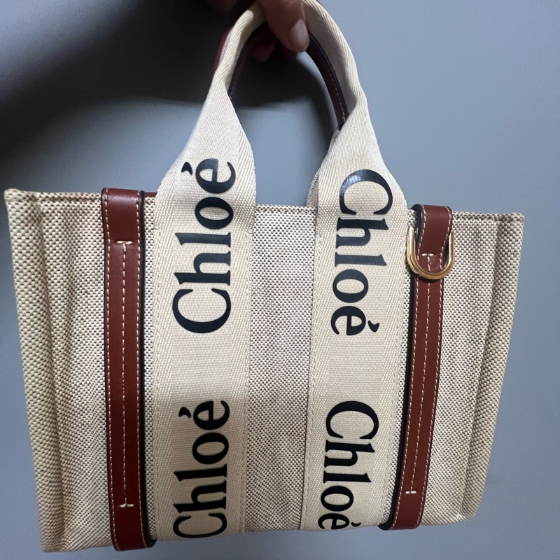 Chloe 手提包-9